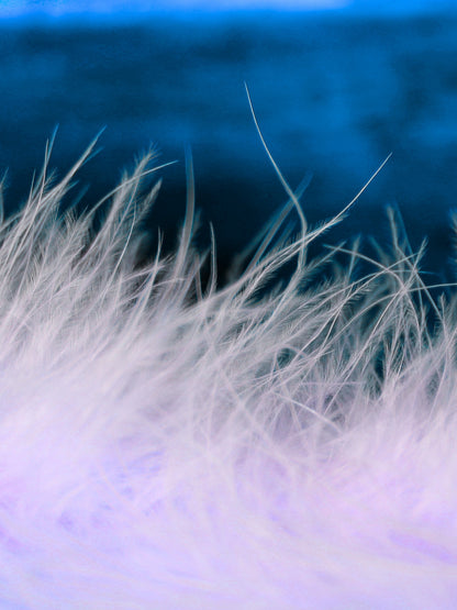 Lila İz – Tüylü Kenarlı İpek Tafta Dekoratif Kırlent Kılıfı