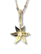 Iz's Star – Leather and Pearl Detailed Necklace